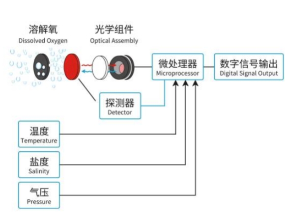 溶解氧傳感器